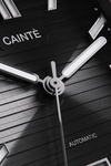 CAVERE BLACK AUTO - CAINTÈ