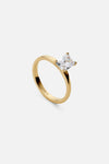 NOMA RING - CAINTÈ